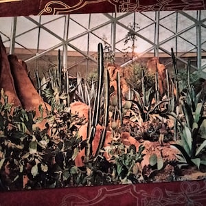 Vista do Deserto Americano no Arid Dome - Mitchell Park Conservatory - Milwaukee, Wisconsin - Cartão Postal Vintage
