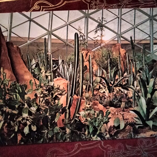 View of the American Desert in the Arid Dome - Mitchell Park Conservatory - Milwaukee, Wisconsin - Vintage Postcard
