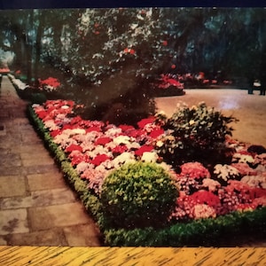 Bellingrath Gardens - Mobile, Alabama - Cartolina d'epoca