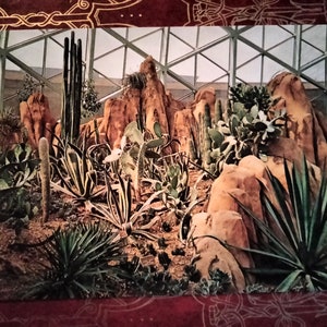 Vista do Deserto Americano no Arid Dome - Mitchell Park Conservatory - Milwaukee, Wisconsin - Cartão Postal Vintage