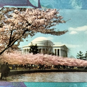 Jefferson Memorial avec des cerisiers en fleurs - carte postale vintage
