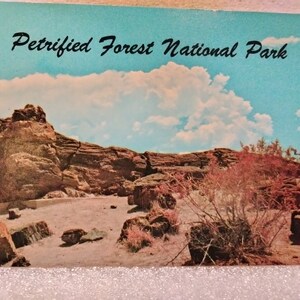 Petrified Forest National Park, Arizona - Vintage Postcard