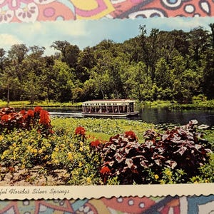 Florida's Silver Springs - Glasbodenboote - Vintage Postkarte