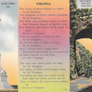 Virginie - Monument de Yorktown - Pont naturel - carte postale vintage
