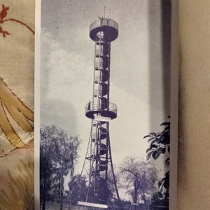 Nagel Groves Photo Site - Winterhaven, Florida  - Vintage Postcard