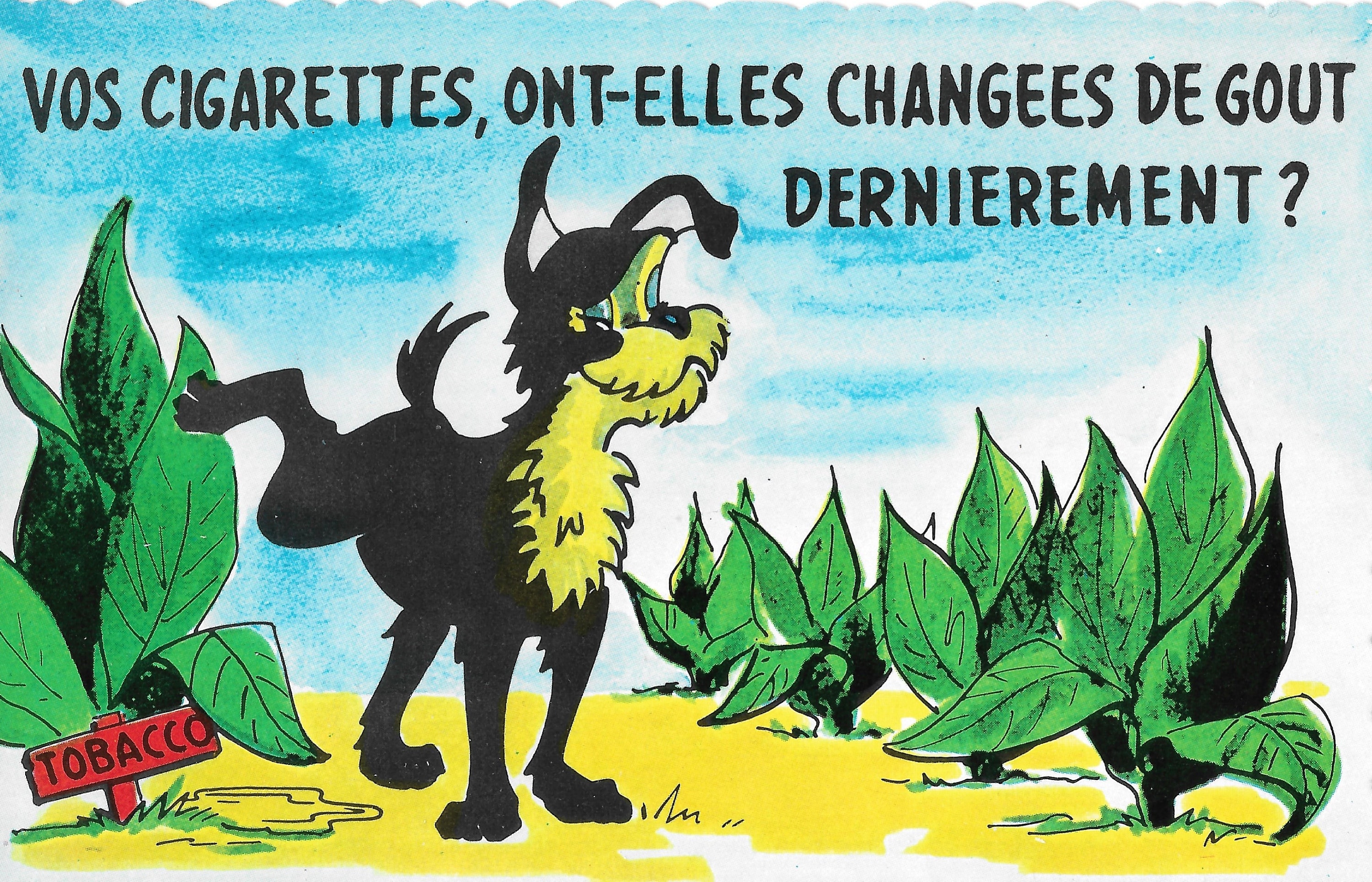 does your tobacco taste different lately Do Cigarettes Lately? Humor Post Card Do Your Cigarettes Taste Different