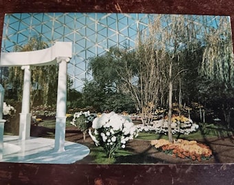 Autumn Mum Show - Griechisches Thema - Mitchell Park Gartenbau Wintergarten - Milwaukee, Wisconsin - Vintage Postkarte