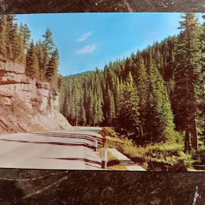 Highway 85 à travers le pittoresque Upper Spearfish Canyon - Black Hills, Dakota du Sud - Carte postale ancienne