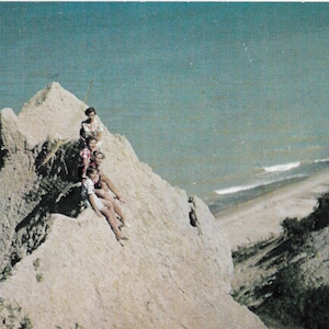 Cliff & Beach Scene at The Hilltop - South Haven, Michigan - Vintage Postcard