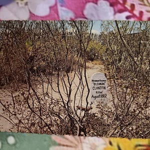 May include: Vintage postcard featuring a landscape scene with a grave marker. The marker reads "Newman Haynes 'Oldman' Clanton Killed August 1882." The image is surrounded by dry brush and trees, with a path leading to the marker.