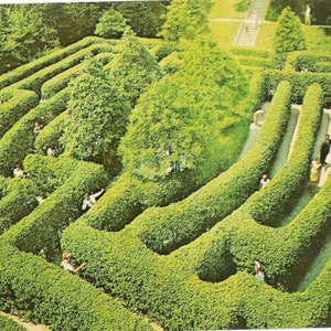 Le labyrinthe du palais du gouverneur - Williamsburg, Virginie - carte postale vintage