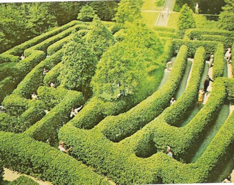 The Governor&#39;s Palace Maze - Williamsburg, Virginia - Vintage Postcard