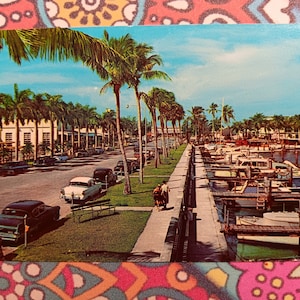 Avenida bordeada de palmeras de coco a lo largo de Yacht Basin - Fort Myers Beach, Florida - Postal Vintage