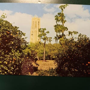 Singing Tower - Lake Wales, Florida - Vintage Postcard