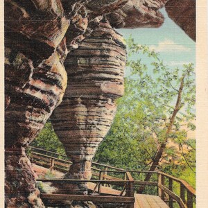 Nid de frelon - Wisconsin Dells, Wisconsin - vintage Carte postale