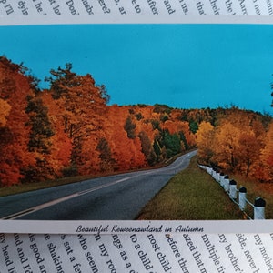 Schönes Keweenawland im Herbst - obere Halbinsel von Griffin - Vintage Postkarte