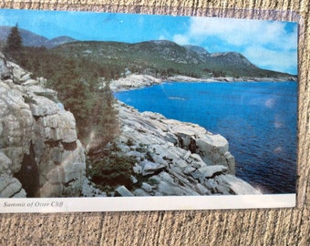 Otter Crest - Oregon Coast -  Vintage Postcard