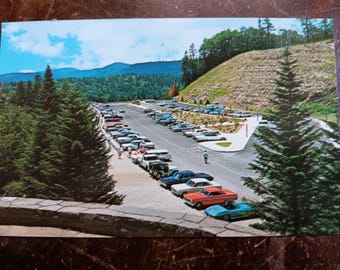 Newfound Gap Parking Area - Great Smoky Mountains National Park -  Vintage Postcard