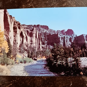 Rivière Shoshone et palissades le long de la route de Cody, Wyoming - Carte postale ancienne