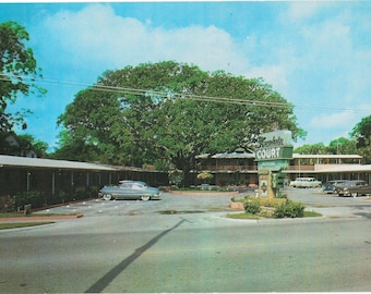 Fountain Court - San Marco Avenue - St Augustine, Florida - Vintage Postcard