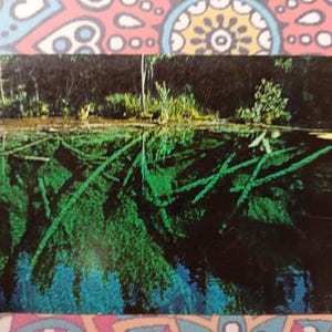 May include: A postcard featuring a landscape scene of a body of water with green vegetation and trees. The water reflects the trees and vegetation, creating a mirrored effect. The image has a dark, moody aesthetic.