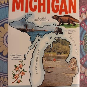 Michigan - A Água do País das Maravilhas - Cartão Postal Vintage