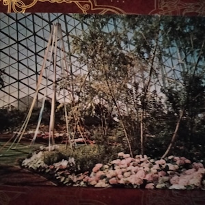 Cartão Postal The Mother's Day Show apresentando Maypole Scene - Mitchell Park Conservatory - Milwaukee, Wisconsin - Vintage