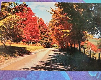 Vermont's Fall Foliage - Vintage Postcard