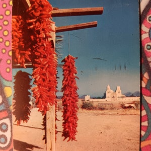 Piments - séchant au soleil - Carte postale vintage 1953
