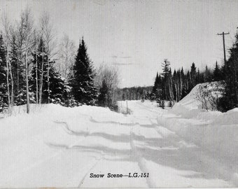 Greetings from Pequot Lakes, Minnesota - 1951 Vintage Postcard