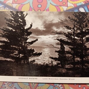 Moonlit Waters - Lake Lake MI Kamera Studie - 1954 Vintage Postkarte