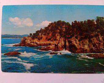 Point Lobos State Park - California - Vintage Postcard