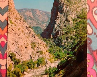 Kings Canyon National Park - California - Vintage Postcard
