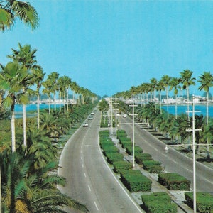 Clearwater Beach - Memorial Causeway - Florida - Postal Vintage