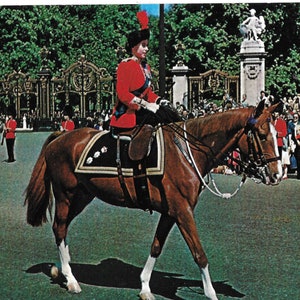 Ihre Majestät die Königin bei Trooping The Color Ceremony - London - 1973 Vintage Postkarte