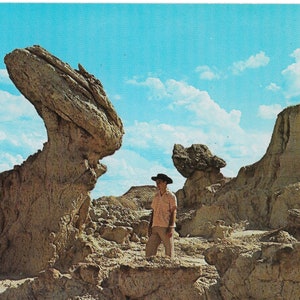 Toadstool Forest - Bad Lands National Monument dans le Dakota du Sud - carte postale vintage