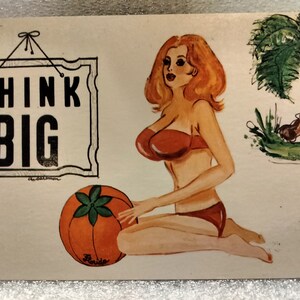 Think Big - Florida - Vintage Postkarte