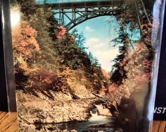 Quechee Gorge - Ottauquechee River  - Vermont  - Vintage Postcard