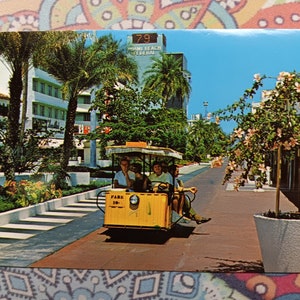 Exotische Lincoln Mall - Miami Beach, Florida - Vintage Postkarte