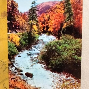 Herbst fügt seine schöne Färbung malerisch Bergbach- Asheville, North Carolina - Vintage Postkarte