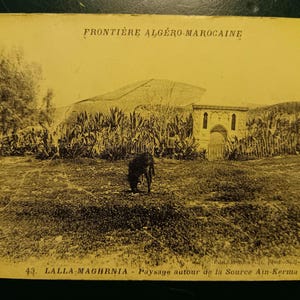 Frontiere Algero Marocaine - Carte postale vintage