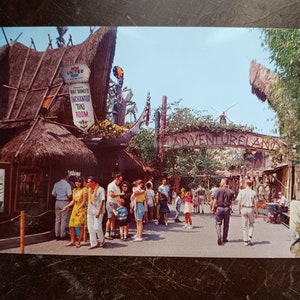 Adventureland - Pokój Tiki - Disneyland - Stara pocztówka
