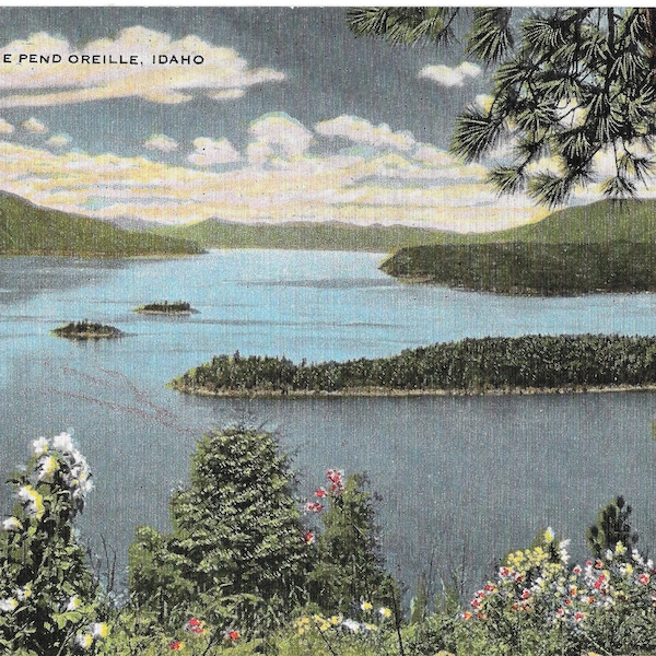 Beautiful Alturas Lake - Idaho - Vintage Postcard