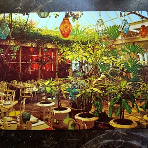 The Kapok Tree Inn - Clearwater Beach - Florida - Postal Vintage