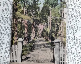The Hermitage -Home of General Andrew Jackson - Nashville, Tennessee - Vintage Postcard