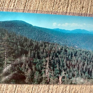 Blick vom Clingmans Dome Autobahn - Great Smoky Mountains National Park - Tennessee - Vintage Postkarte