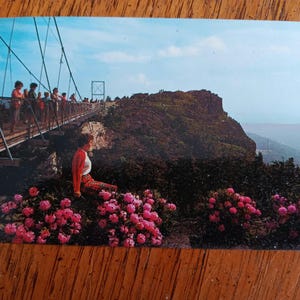 Pont tournant sur Grandfather Mountain - Ouest de la Caroline du Nord - Carte postale vintage