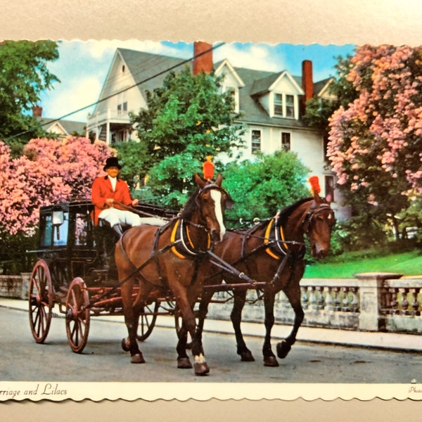 Carriage & Lilacs - Mackinac Island, Michigan -  Vintage Postcard