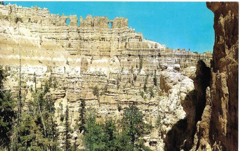 Bryce Canyon National Park The Wall Of Windows Vintage Postcard Utah Collectibles Memorabilia Efp Osteology Org - Wall Of Windows Bryce Canyon National Park Bryce Canyon National Park The Wall Of Windows Vintage Postcard Utah Collectibles Memorabilia Efp Osteology Org - Wall Of Windows Bryce Canyon National Park