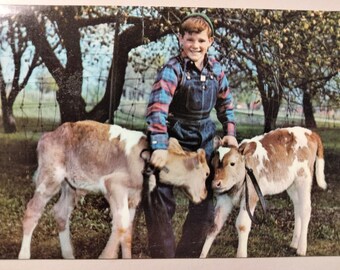 Greetings from Stockton, Missouri - Vintage Postcard